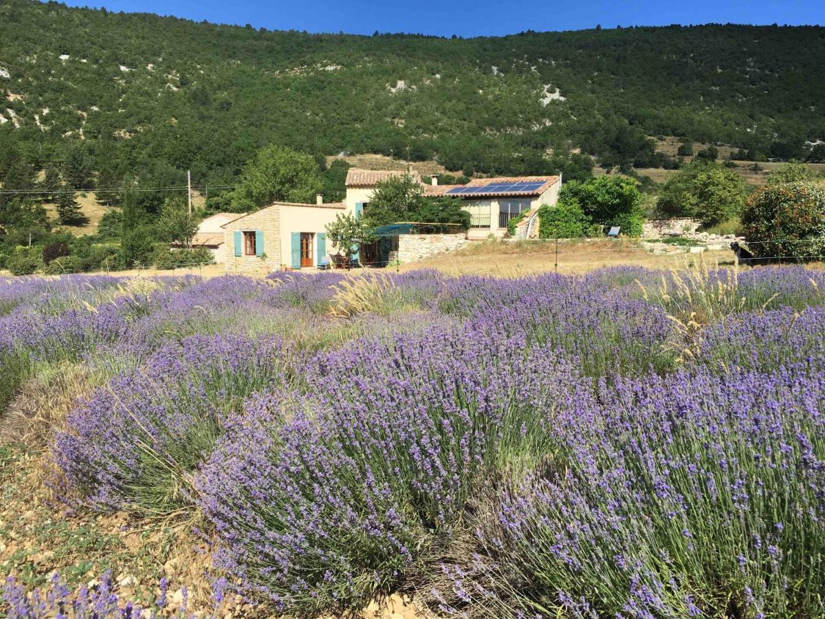 Le Jas Du Mont Ventoux Bed and Breakfast Sault-de-Vaucluse Buitenkant foto